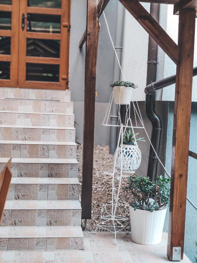 Villa-Apartments Bognar Velika Dış mekan fotoğraf