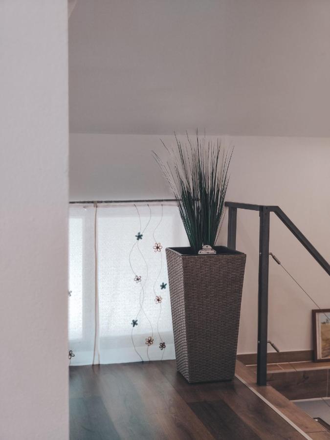 Villa-Apartments Bognar Velika Dış mekan fotoğraf
